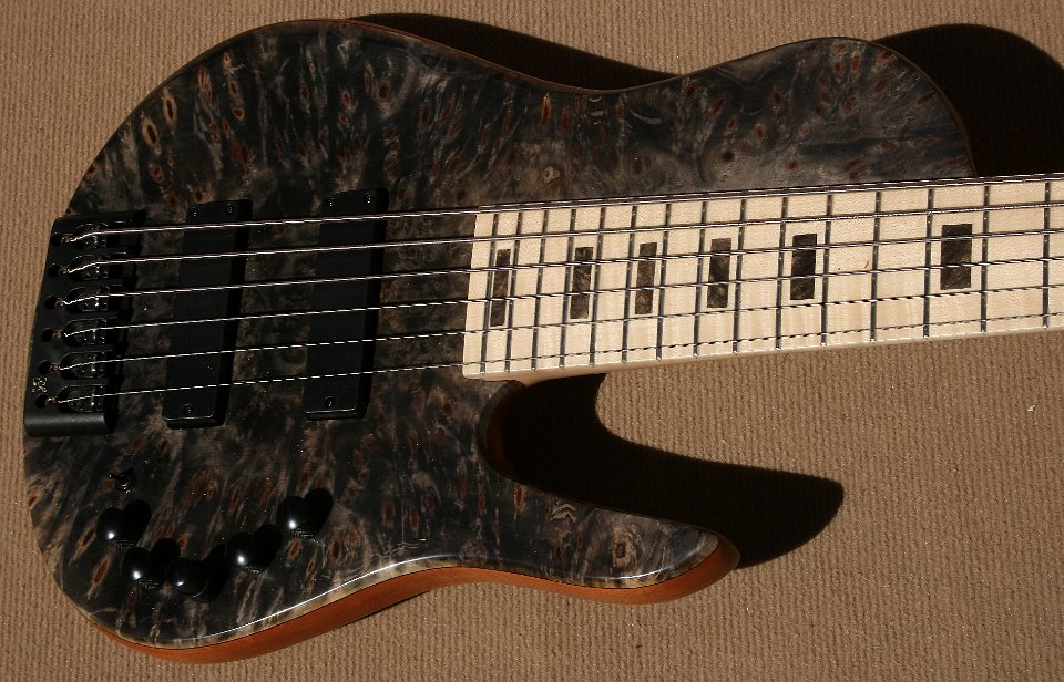 SC6 Buckeye Burl - Price 4000€